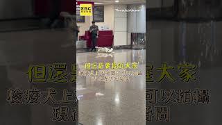 檢疫犬下班玩到翻肚肚！13萬網友被這幕萌翻：可愛到犯規@cosmosviral #shorts