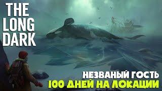 Где Шиповник? Нужно больше чая! ► 100 дней на локации Черный камень ► The Long Dark