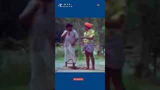 Goundamani senthil whatsapp status | Goundamani comedy dialogue #comedy #shorts #shortsfeed