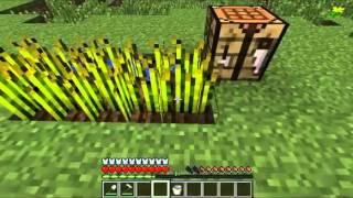 Minecraft   Как стать успешным фермером за 13 секунд