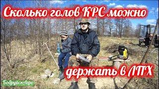 Сколько голов КРС можно держать в лпх