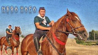 ОТ СОТИЛАДИ..УЛУГБЕК КИМДАН ХАФА ULOQCHI OT SOTILADI.(Mus Tv)#otbozor#horse #Attar