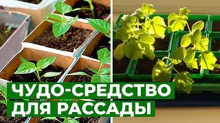 Отличный способ выращивания рассады | коврик с подогревом для проращивания семян рассады