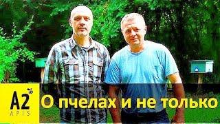 Немецкий #матковод Михаил Дуран (DE): о жизни и пчелах в Германии