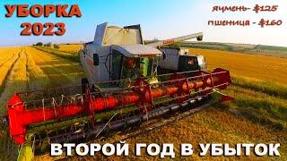 Уборка урожая озимых зерновых 2023. Урожайность. Куда сдавать? Цены на пшеница, ячмень. Lexion 480