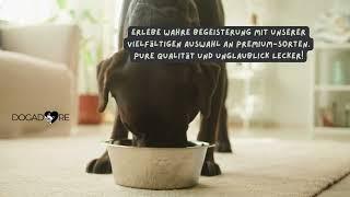Premium-Hundefutter bei dogadore: Lecker und gesund