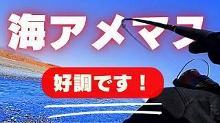 【釣り方解説】初心者向けアメマス釣行解説in南十勝！今年は型が良い??  Unveiling Secrets: Best Tips for Spotted-Char-Trout Fishing