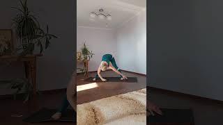 Flow yoga - LP - Dreamer