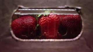 Life of a strawberry   Stop food waste   save the food