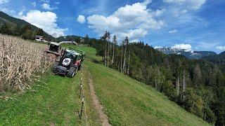 Maisernte am Abgrund | Claas Jaguar, Steyr CVT Absolut, Valtra T235, Krone GX 440 & Fliegl, Göweil