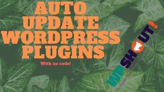 How to Enable Automatic WordPress plugin updates with Companion Auto Update