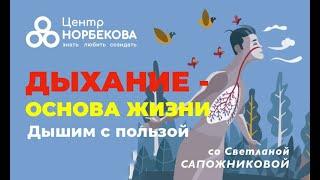 Бесплатный вебинар "ДЫХАНИЕ - ОСНОВА ЖИЗНИ" со Светланой Сапожниковой 19 ноября в 19:00