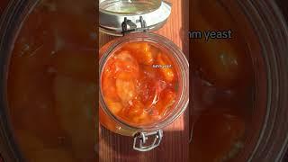 Habanero Hot Sauce #lactofermentation #spicy #chilli #foodalchemy #hotsaucerecipe #fermentedfooods