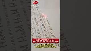 Unlimited-Length Laser Burning for Fabrics | ARGUS Roll-to-Roll Laser Machine