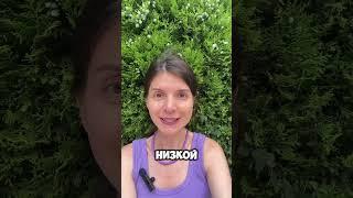 НЕ ПРОДАВАЙ эти товары
