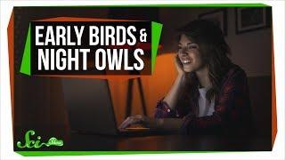 What Being a Night Owl Does to Your Health | SciShow News