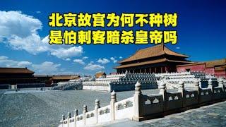 北京故宫太和殿前为何不种树？是怕刺客暗杀皇帝吗？真相出乎预料【北京旅游等着瞧】