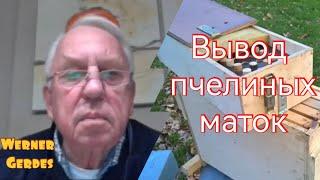 Вывод пчелиных маток.Вернер Гердес( Германия)