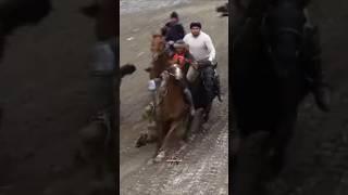 #buzkashi #uloq #kupkari #tajikistan #uzbekistan #tashkent #dushanbe #kokpar #horse #tjk