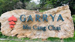 Garrya Mù Cang Chải Resort-Kiến Trúc Tre Độc Đáo-View Nhìn Tuyệt Vời