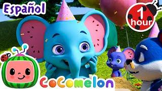 ¡Hoy es el cumpleaños de Emmy! ¡Vamos! | CoComelon y los animales | Dibujos animados para niños