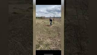 ожидание и реальность #дача #деревня