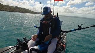 Is this my last kayak video? Kayak fishing Aguadilla Puerto Rico. Yellowtail Snapper Trigger fish.