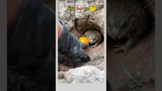 #comedy #viralvideo #funny #viralvideo ..