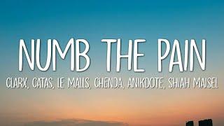 Clarx, Catas, Le Malls, CHENDA, Anikdote - Numb The Pain (Lyrics) ft. Shiah Maisel