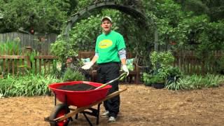 How-to Plant a New Tall Fescue Lawn from Grass Seed