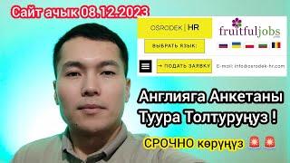 срочно Англияга Анкета Толтуруңуз / Osredek-hr сайтына Англияга кантип толтурабыз Пример/ Сапар ТВ