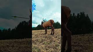 Drive. Hike. Shoot. #elkshape