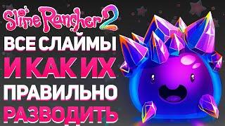 SLIME RANCHER 2: ВСЕ СЛАЙМЫ И ЧТО ТЫ ДОЛЖЕН О НИХ ЗНАТЬ