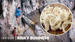 Why People Risk Their Lives To Harvest A $2700 Bird Nest Made Of Saliva | Risky Business