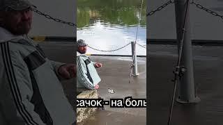 12 июля 2024 г.