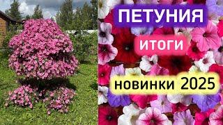 ПЕТУНИЯ: БУДУ ЛИ ВЫРАЩИВАТЬ? ИТОГИ 2024 #милыйдом