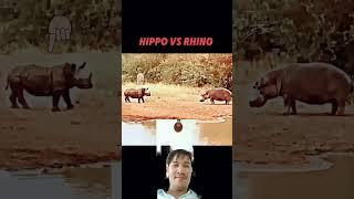#wow #animals #wildlife #respect #anime #music #trending #travel #funny #wow #memes