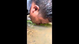 Pao's daily life: Pao goes to work on a rainy day #videoshort #survivalskills #bushcraft #bushcraft