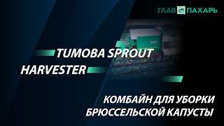 Комбайн для уборки брюссельской капусты Tumoba Sprout Harvester