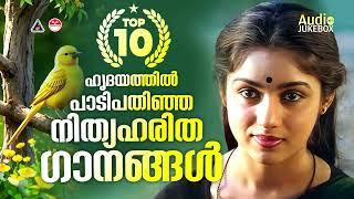 പ്രിയപ്പെട്ട ഗാനങ്ങൾ | Malayalam favourite song | K S Chithra| Malayalam Hits | Evergreen Movie Hits