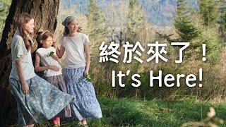 我們家庭企業 'Metsa Life' 快要兩年了，還在努力中！Our Family Business Metsä is Almost 2 Years Old, Here's the Latest!