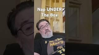 I Don’t Think Outside the Box. I Nap Under It.