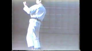 Nippon Kempo Basics Yoshikazu Kamigaito Sensei