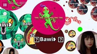 EPIC SOLO TAKEOVER// REVENGE ON CLAN (AGARIO MOBILE)