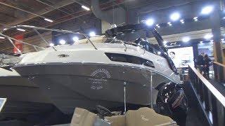 NX Boats NX290 Exclusive Edition (2020) Exterior and Interior