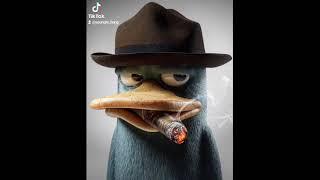 hyper realistic perry smoking a cigar