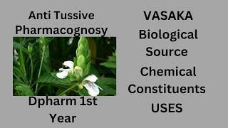 VASAKA| Antitussive Drug| Pharmacognosy| Dpharm| Crude Drug| Hindi and English