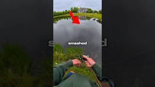 I Fished for Angry Fish 