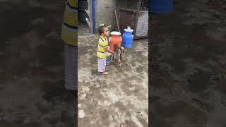Village life is best life#viralvideo #shortsfeed #shorts #travel #village #youtubeshorts