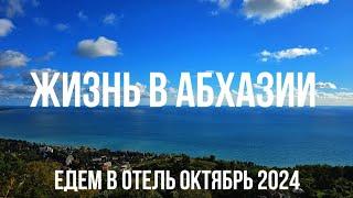 Сколько стоит Отель Черноморская Жемчужина в Очамчире? У нас пополнение. Жизнь в Абхазии.